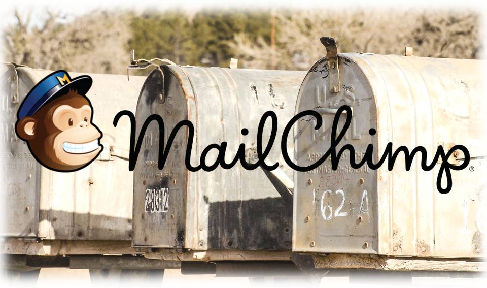cursus nieuwsbrieven met mailchimp - Silvatica Marketing Den Bosch